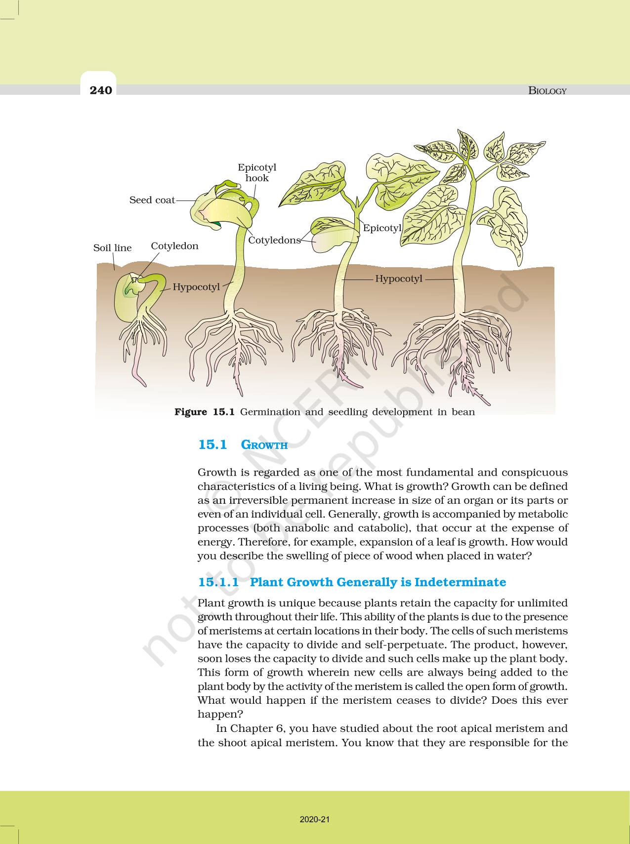 case study on plant growth and development class 11
